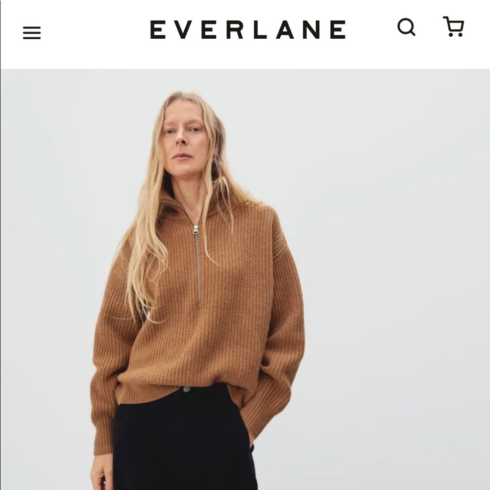Everlane Felted Merino Half-Zip Sweater